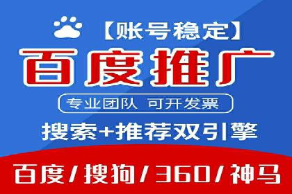 百度竞价与搜索引擎优化（SEO）结合的经典案例